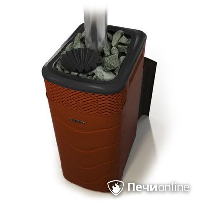 Дровяная банная печь TMF Гейзер XXL 2017 Inox Витра закрытая каменка терракота в Оренбурге